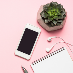 phone, succulent plant, notebook, pen and headphones on a pink background