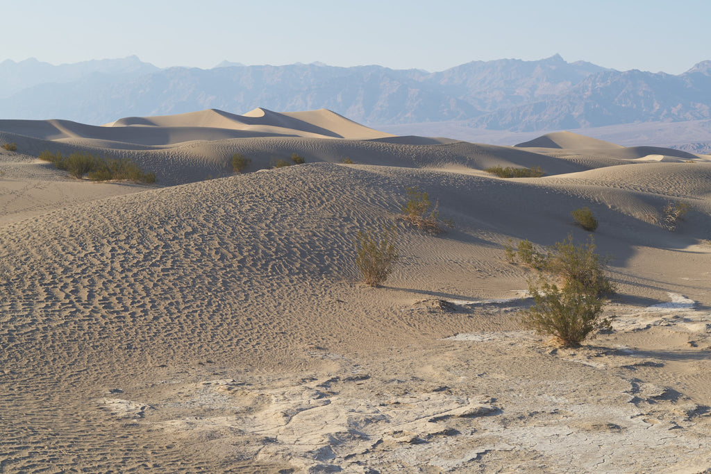 death-valley-mesquite-dunes