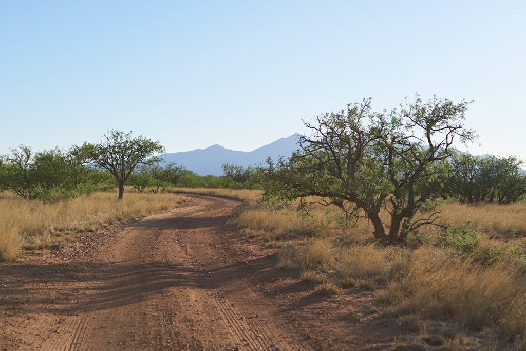 las-cienegas-conservation-area-arizona-dirt-road