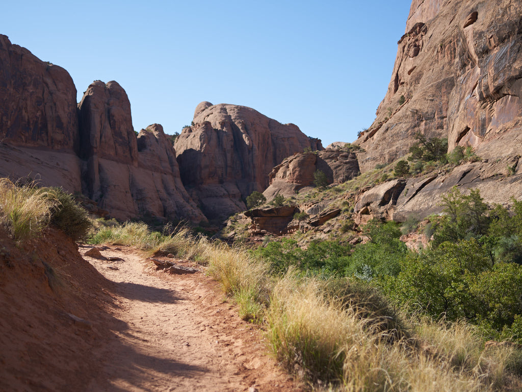 trail-negro-bill-canyon-moab