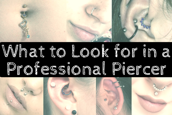 What to Look for in a Professional Piercer grande