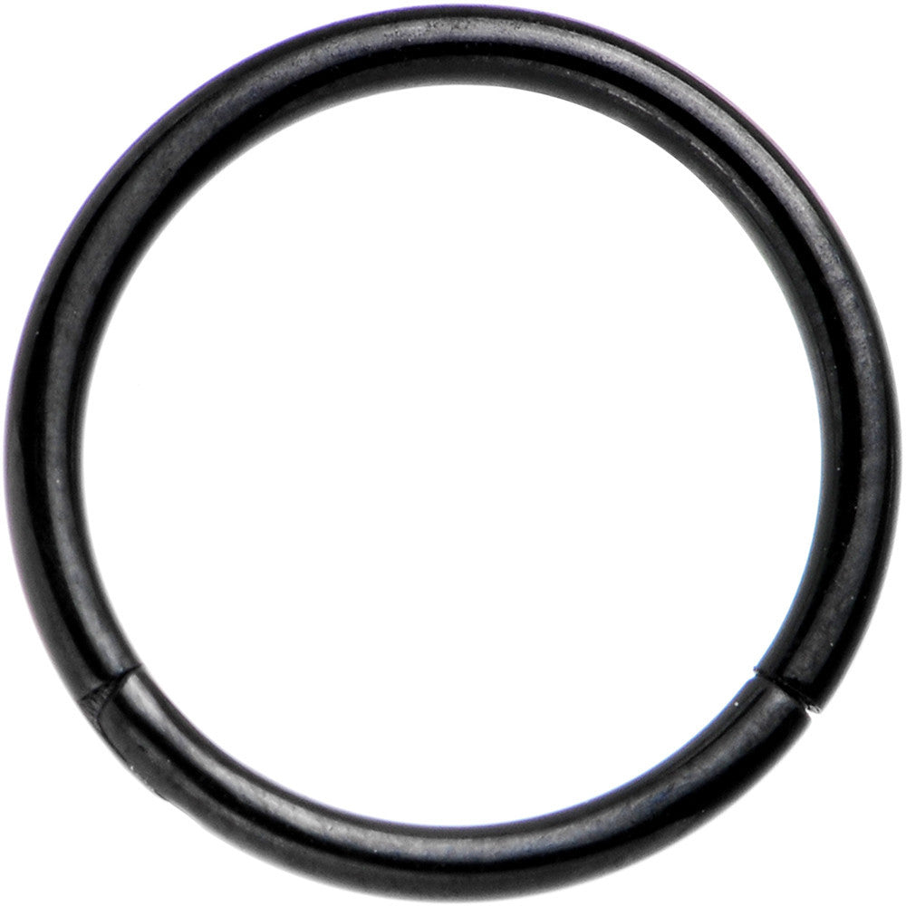 Hinged 5/16 16 PVD Gauge Black Ring Segment