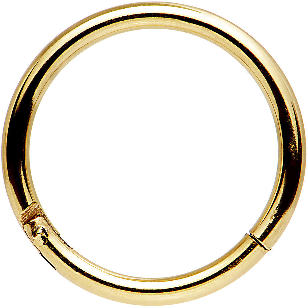 Image of 16 Gauge 3/8 Gold Tone Anodized Hinged Segment Ring