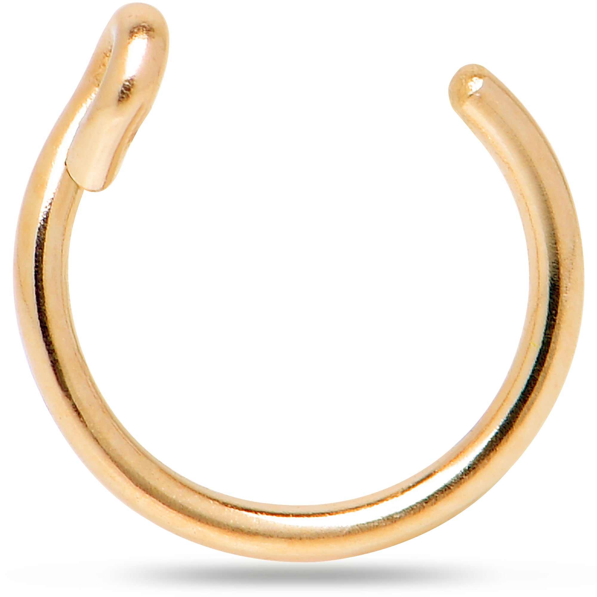 Solid 14KT Yellow Gold 2mm Tiger Eye Nose Ring