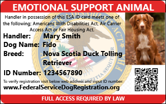 emotional support registration for dogs