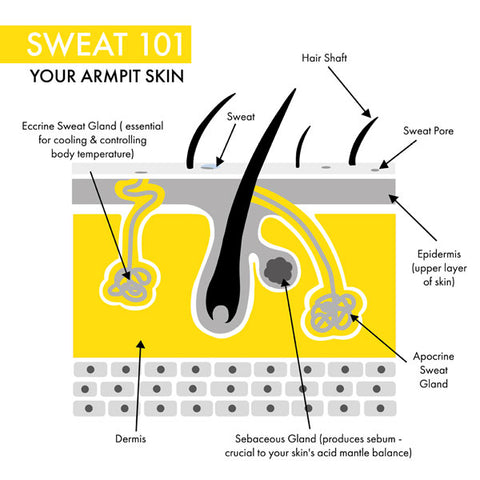 how does sweat work