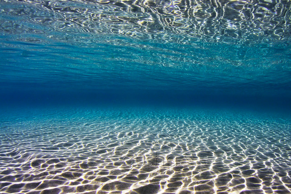 Photos of Redhead Beach - Gusha