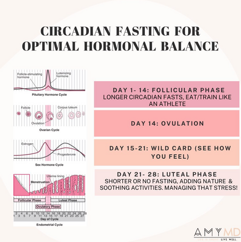 Food Charts For Each Phase of Your Menstrual Cycle  Happy hormones,  Menstrual cycle, Menstrual health