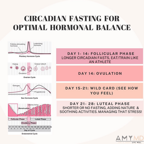 How To Fast and Eat During Different Stages Of Your Menstrual Cycle – AmyMD  - Life is short. Live well.