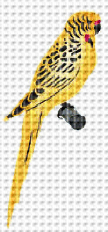 parrot cross stitch graph