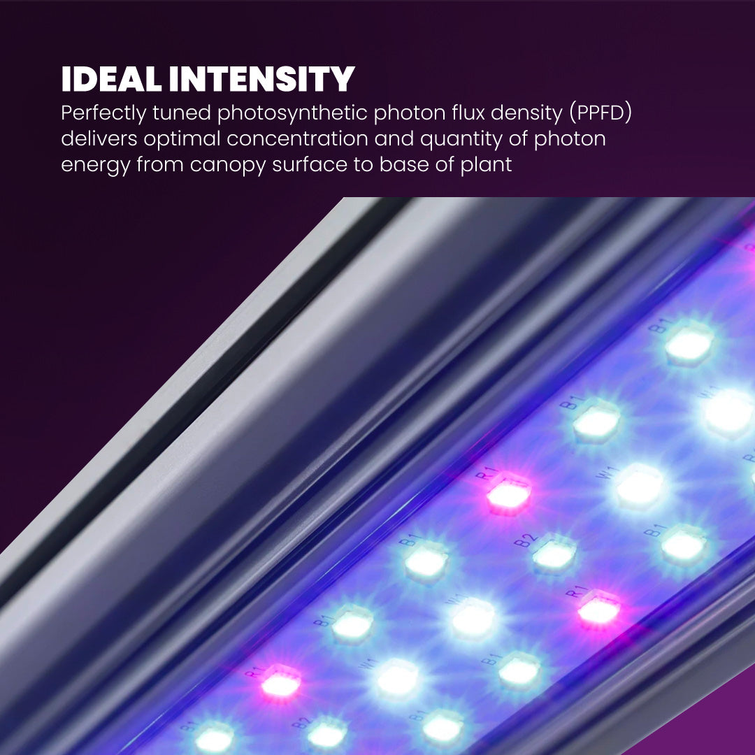 LED Grow Light Bar - Superior Quality for Exceptional Plant Growth