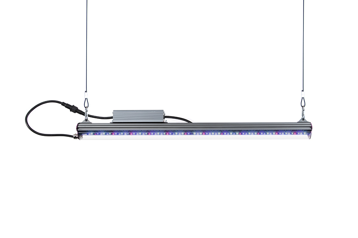 安心と信頼 POWER LED 1W 白色 XGB-HPE6H12L41W-AL3 10000個 kead.al