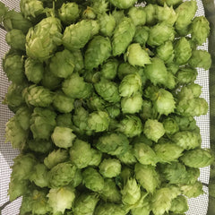 Fresh Picked Hops