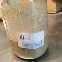 Yeast Slurry