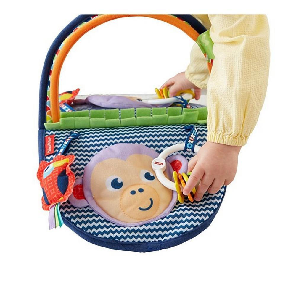 fisher price monkey bouncer and play