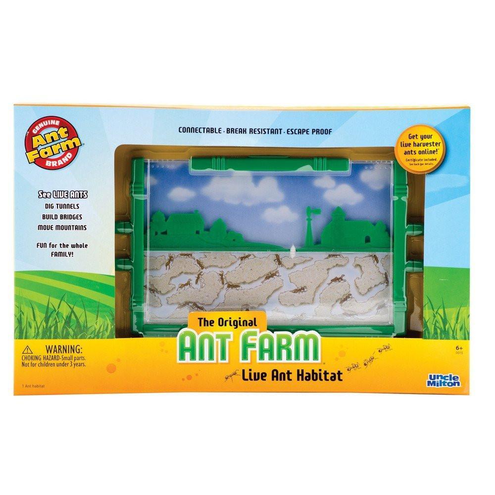 Карта ant farm