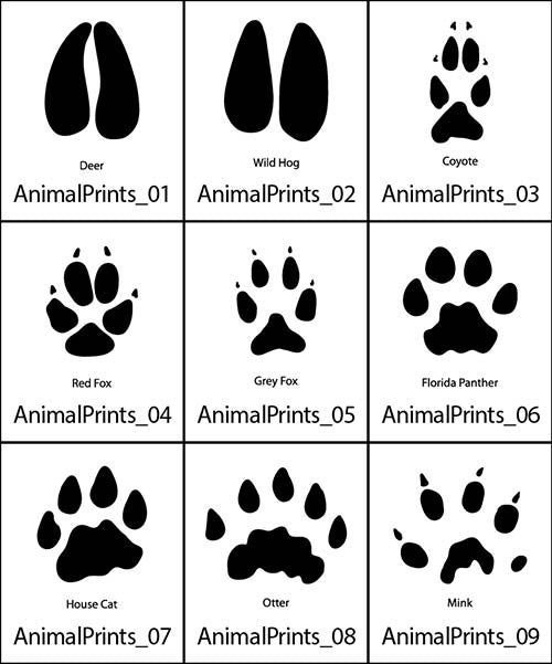 Animal Prints 1