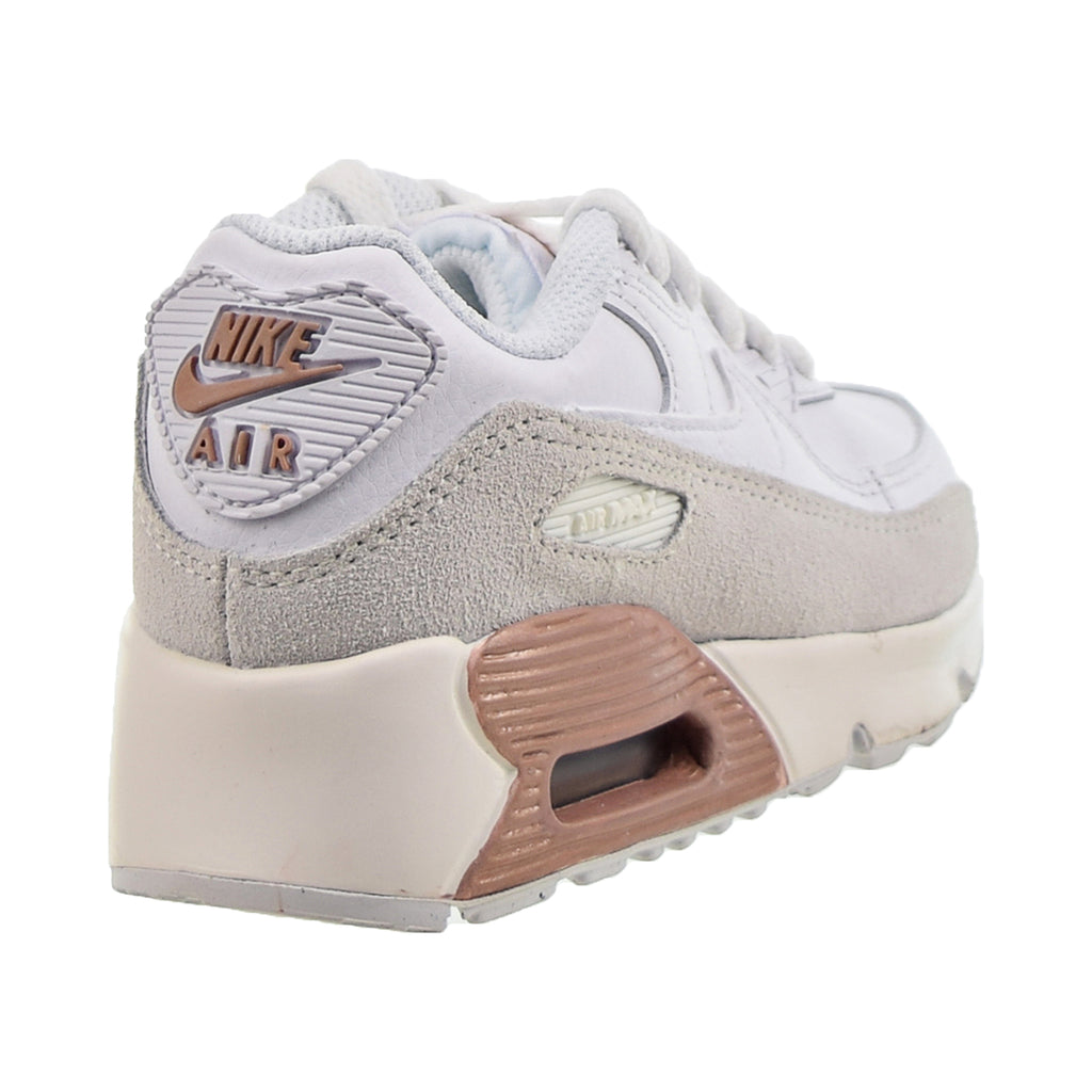 worm Sicilië Bevatten Nike Air Max 90 (PS) Little Kids' Shoes White-Summit White-Metallic Re