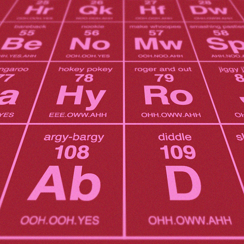 Periodic Table Of Sexual Terminology Screen Print 