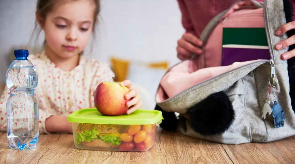 Child packing lunch