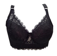 Ladies Women Sexy Underwear 3/4 Cup Padded Lace Sheer Bra - Fab Getup Shop