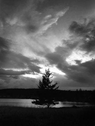 black and white photo of tree and clouds