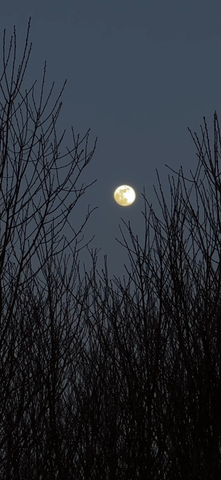 full moon with navy wallpaper