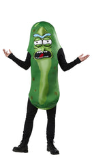 Pickle Rick costumes for adults from Rick and Morty