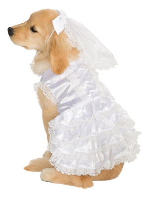 Bride Pet Costume | Costume Super Centre AU