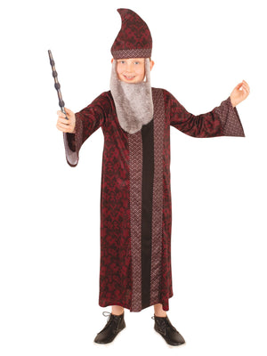 Buy Dumbledore Robe for Kids - Warner Bros Harry Potter from Costume Super Centre AU