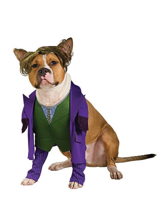 The Joker Pet Costume | Costume Super Centre AU