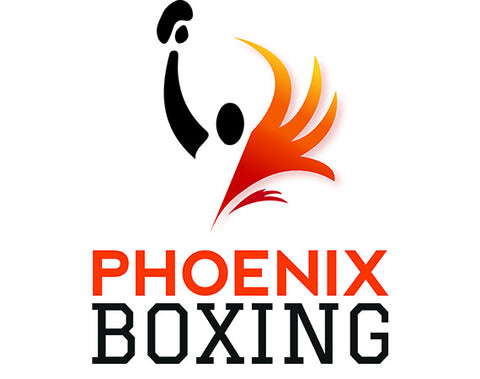 Level 7 - Round 2: Advanced Boxing Techniques (Introduction to Sparring) Workshop A