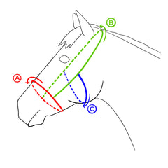 Bridle sizing chart FR Equestrian