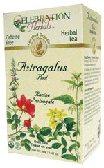 Astragalus Root C-S Organic 40 GM