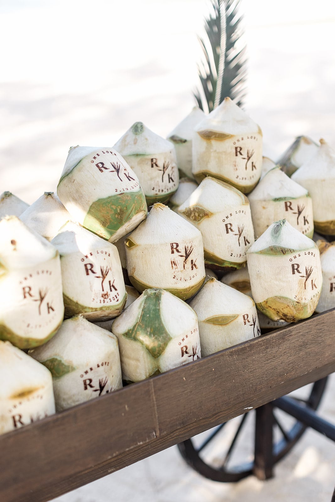 close up branded coconuts in a wooden cart