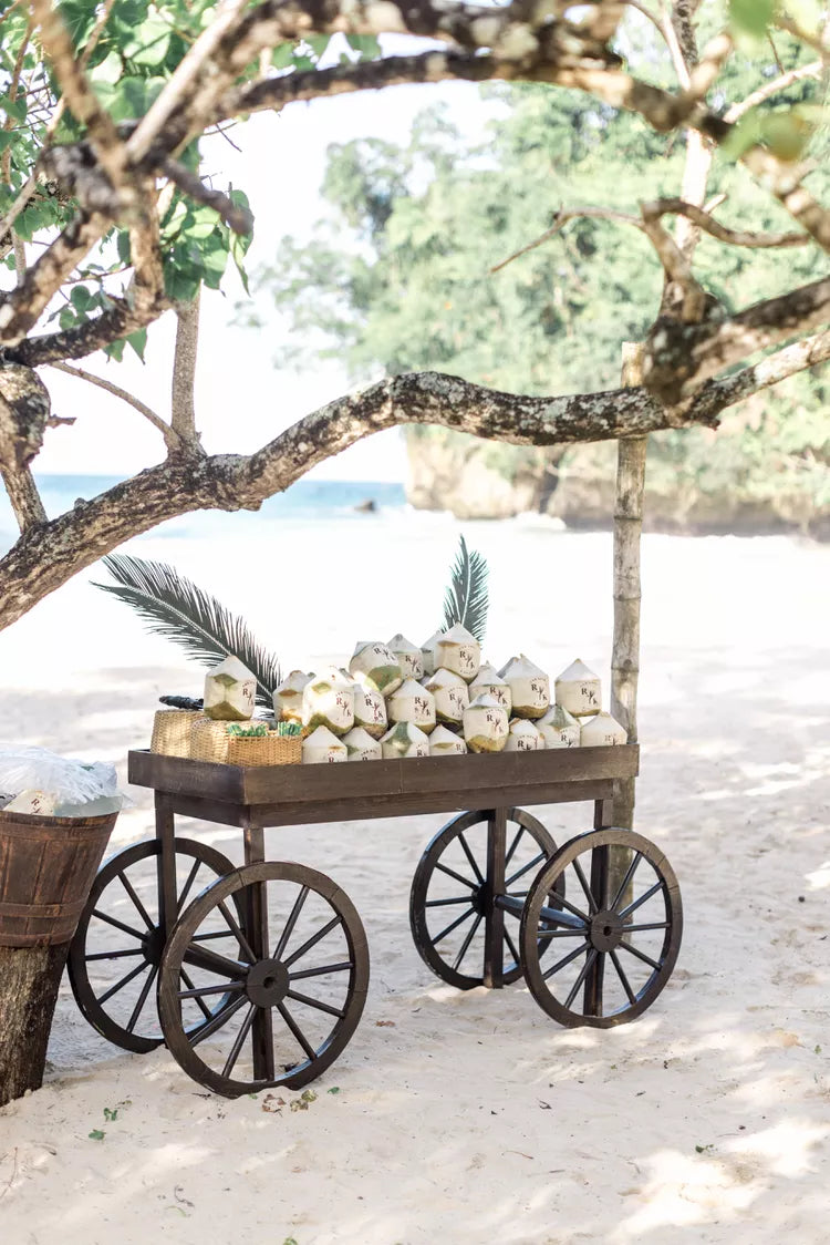 custom coconuts cart