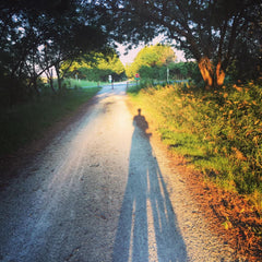 golden hour bike ride sunshine bike trail be the gold