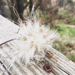 beauty in the hard stuff bike trail scenery