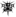 IzWoz