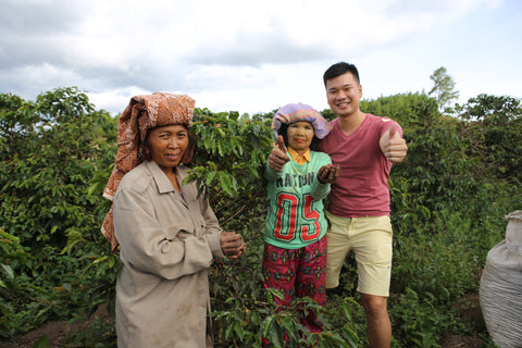 Local coffee cherry pickers