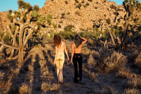 California Joshua Tree Flares