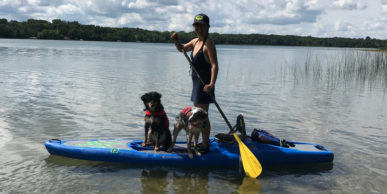 1600px x 801px - SUP Pup! Tips for paddle boarding with your dog - DIRO Outdoors