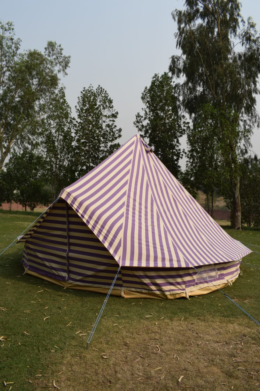 Canvas Bell tent Purple 4 Meter 4M  Ultimate ZIG