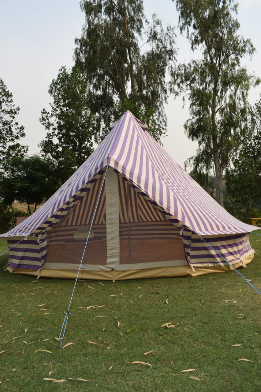 Canvas Bell tent Purple 4 Meter 4M  Ultimate ZIG