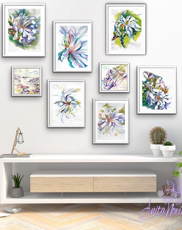 gallery wall of simple magnolia flower drawings anita nowinska
