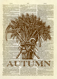 Autumn Harvest Sheaf of Wheat