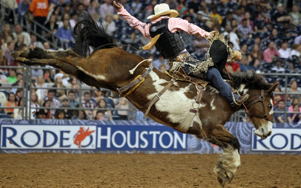 La SMP presente en el Houston Livestock Show and Rodeo — Sociedad Mex