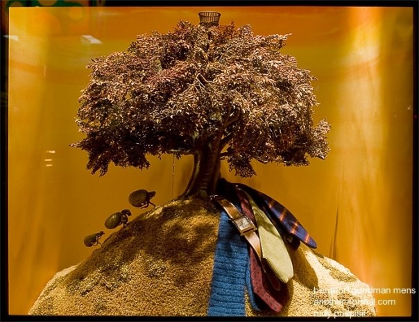 Creative Store Display Window Creative Store Display Window