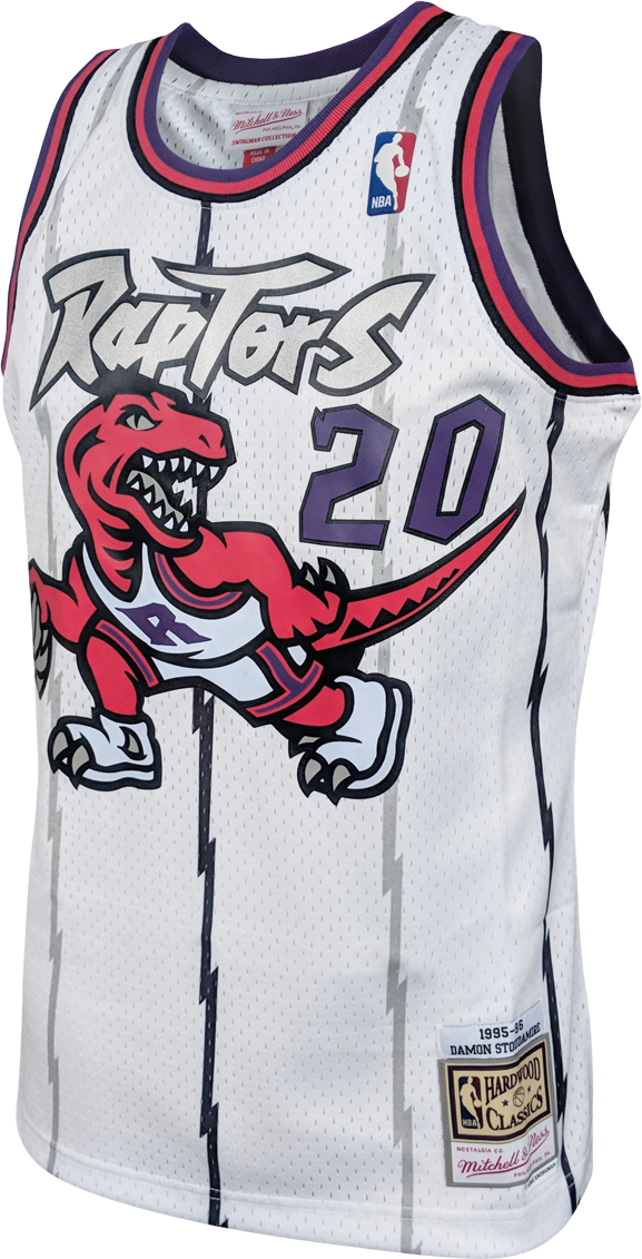 raptors 95 jersey