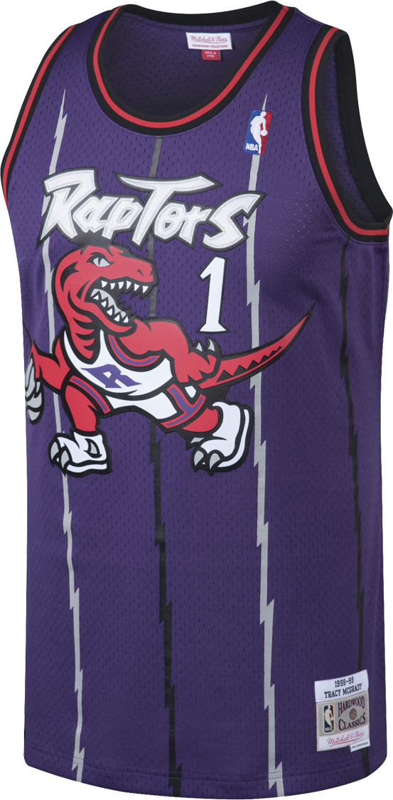 raptors jersey swingman